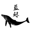 藍鯨冒險隊